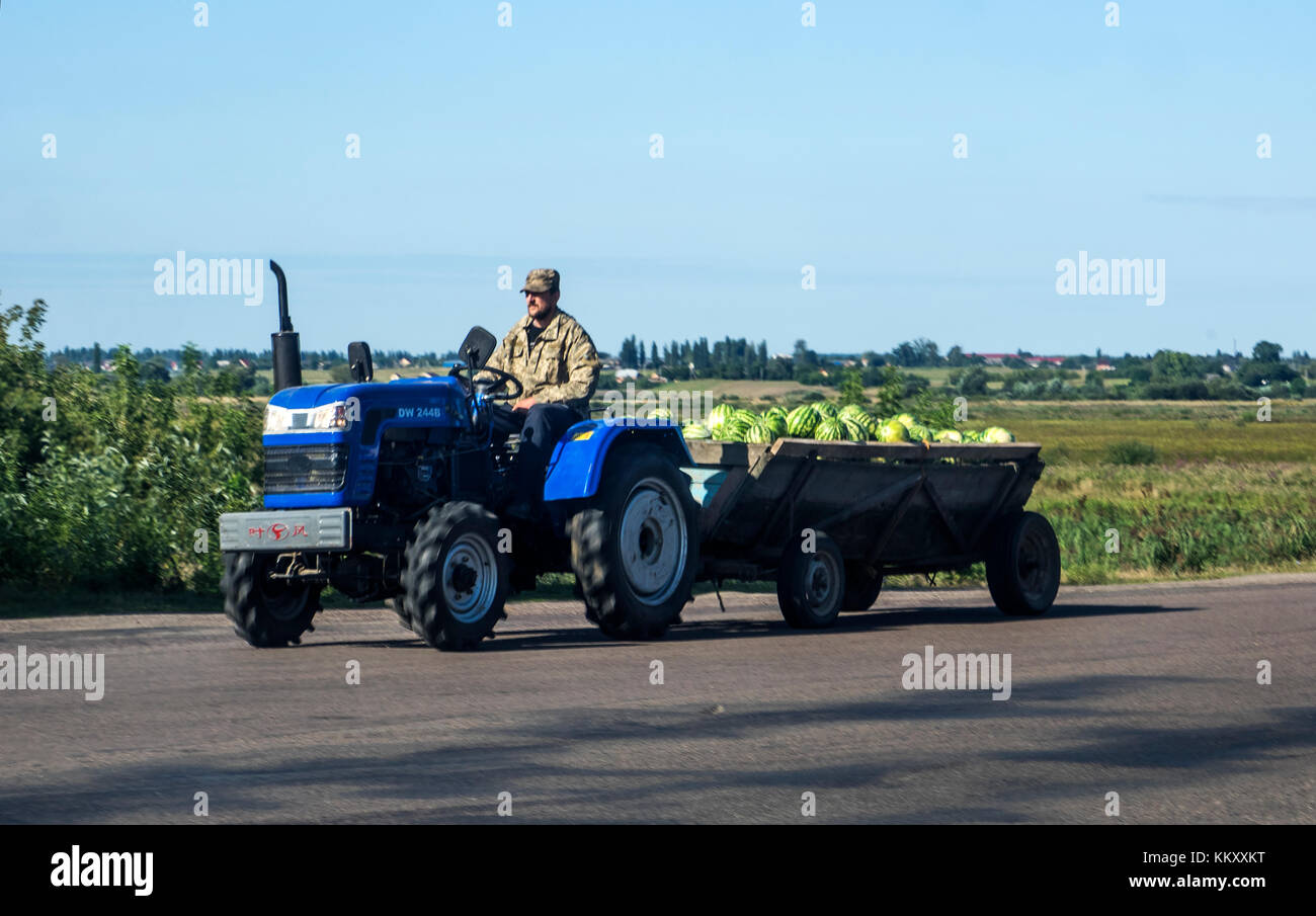 Gorodišče rivne Region, Ukraine - 31. August 2017: der Mann, der auf einem mini Traktor in einem Anhänger transportiert von Wassermelonen Stockfoto