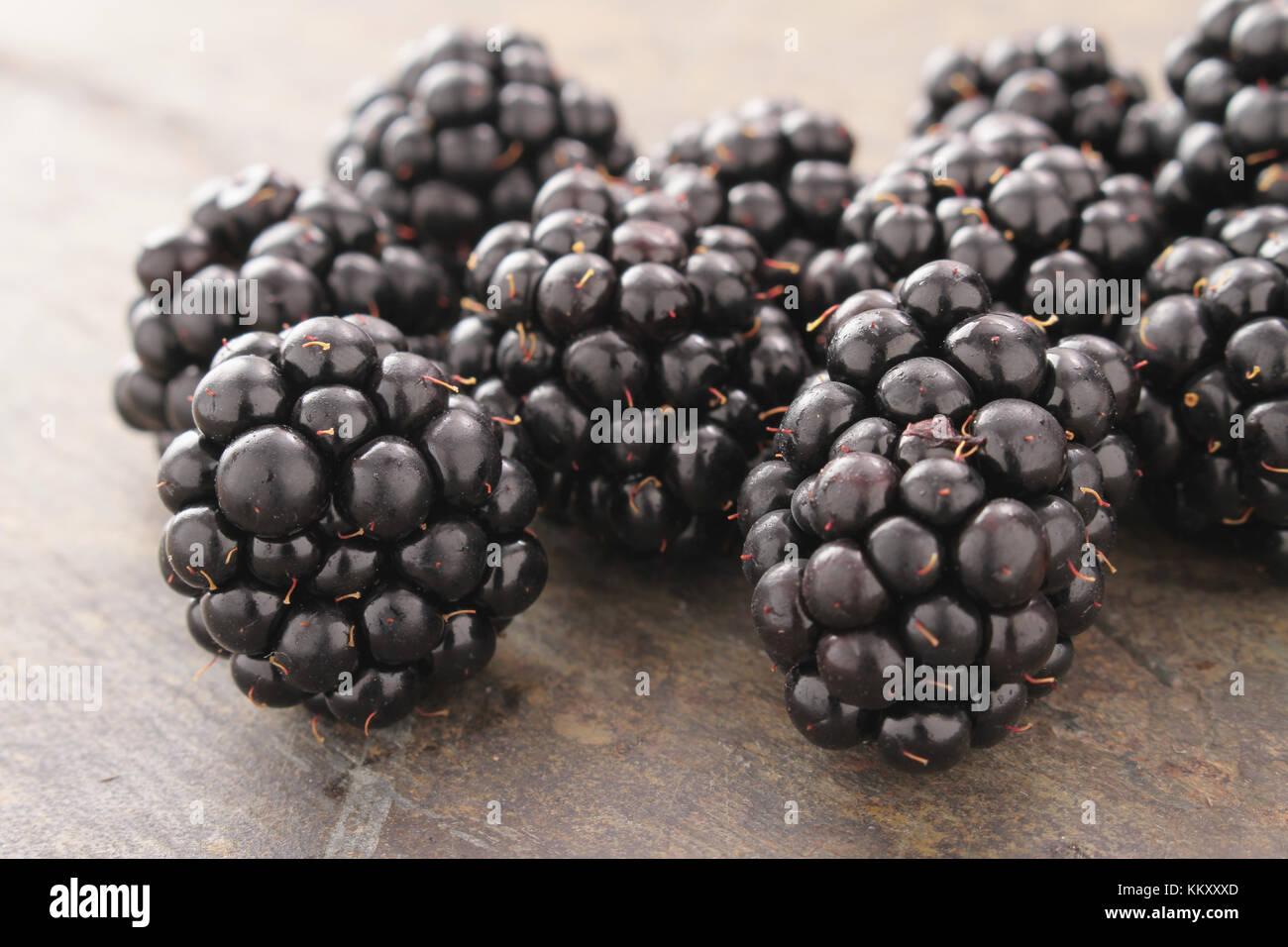 Frische Brombeeren Beerenfrucht Stockfoto