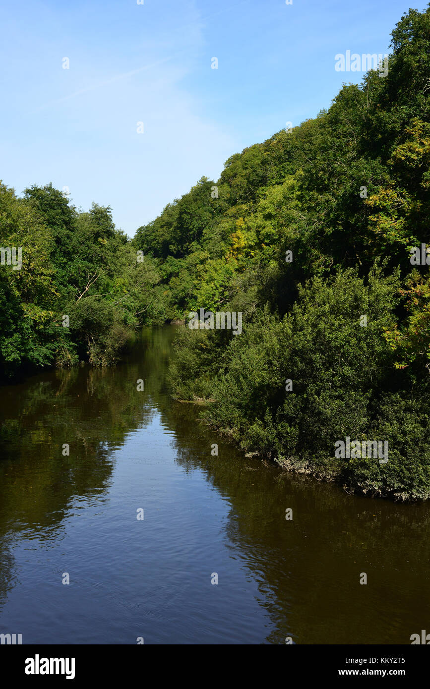 Die Afon Teifi/River Teifi an Cilgerran Stockfoto