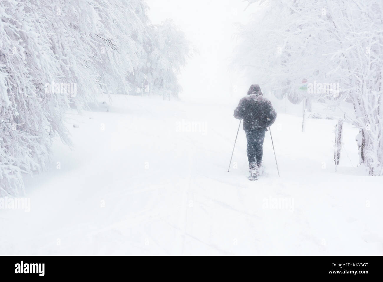Ein schneeschuh Wanderer Wandern auf einem Weg in die Berge während es stark schneite. Vogesen im Winter, Frankreich. Stockfoto
