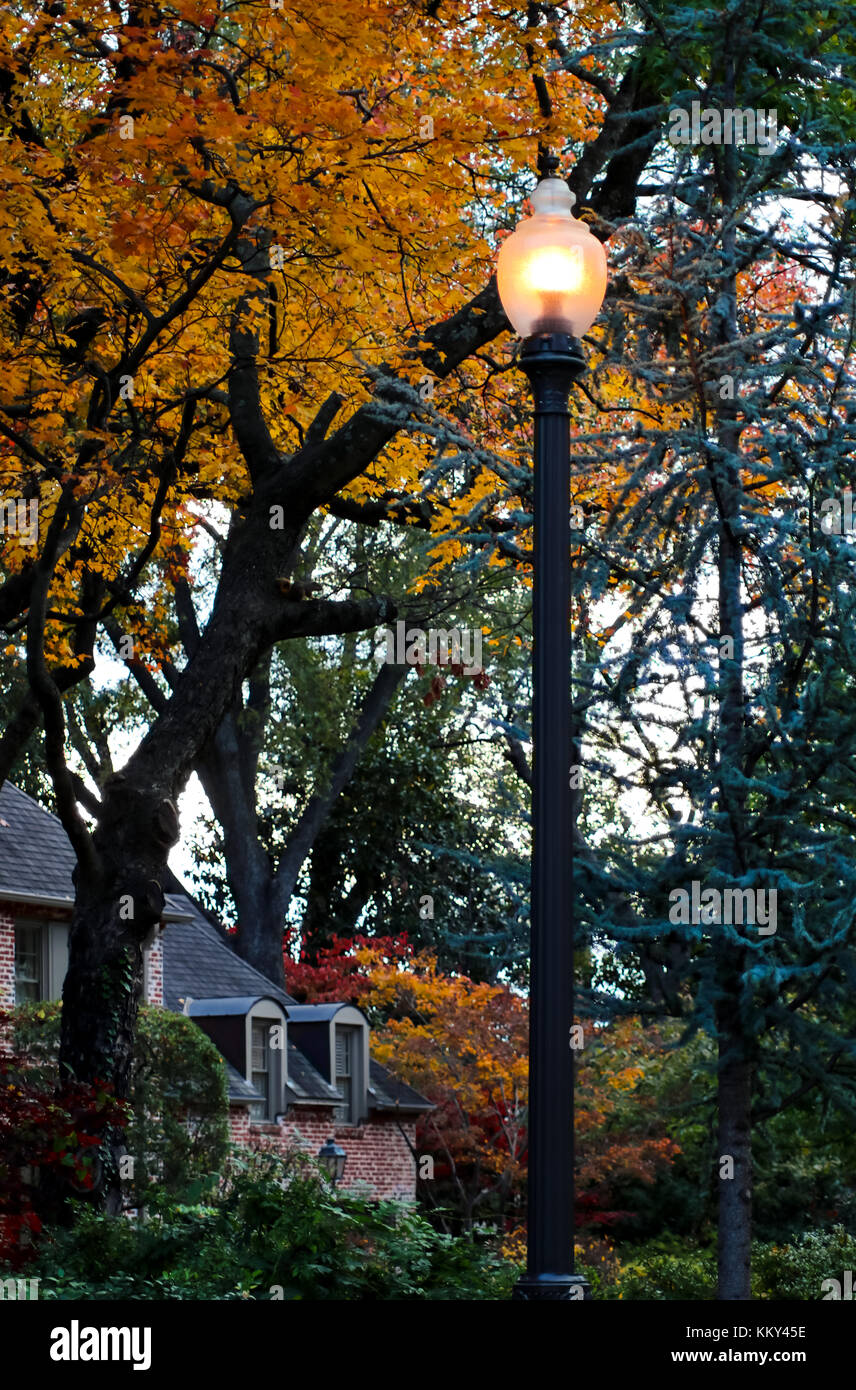 Lamp Post im Herbst Nachbarschaft mit Haus und farbenfrohe Bäume - eines mit einem Eichhörnchen im Es-im Hintergrund Stockfoto