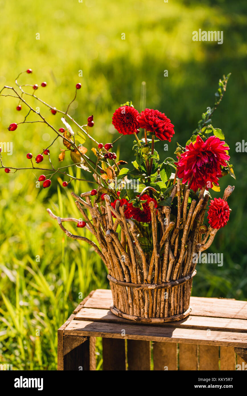 Garten, Holzkiste, Blumenvase, herbstliche Dekoration, detail, Stockfoto