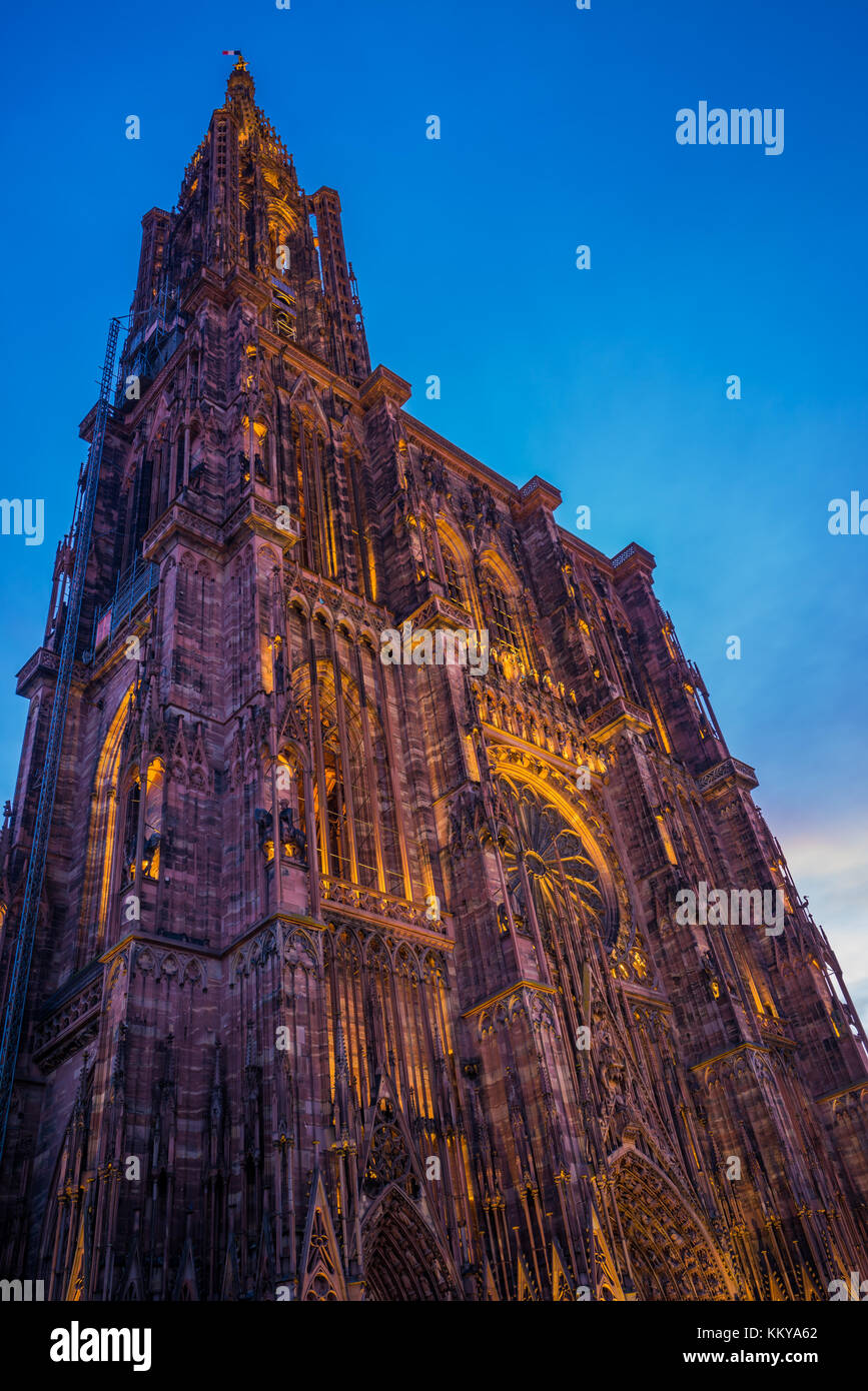 Blick auf Kathedrale von Straßburg vom Boden. Elsass Frankreich Stockfoto