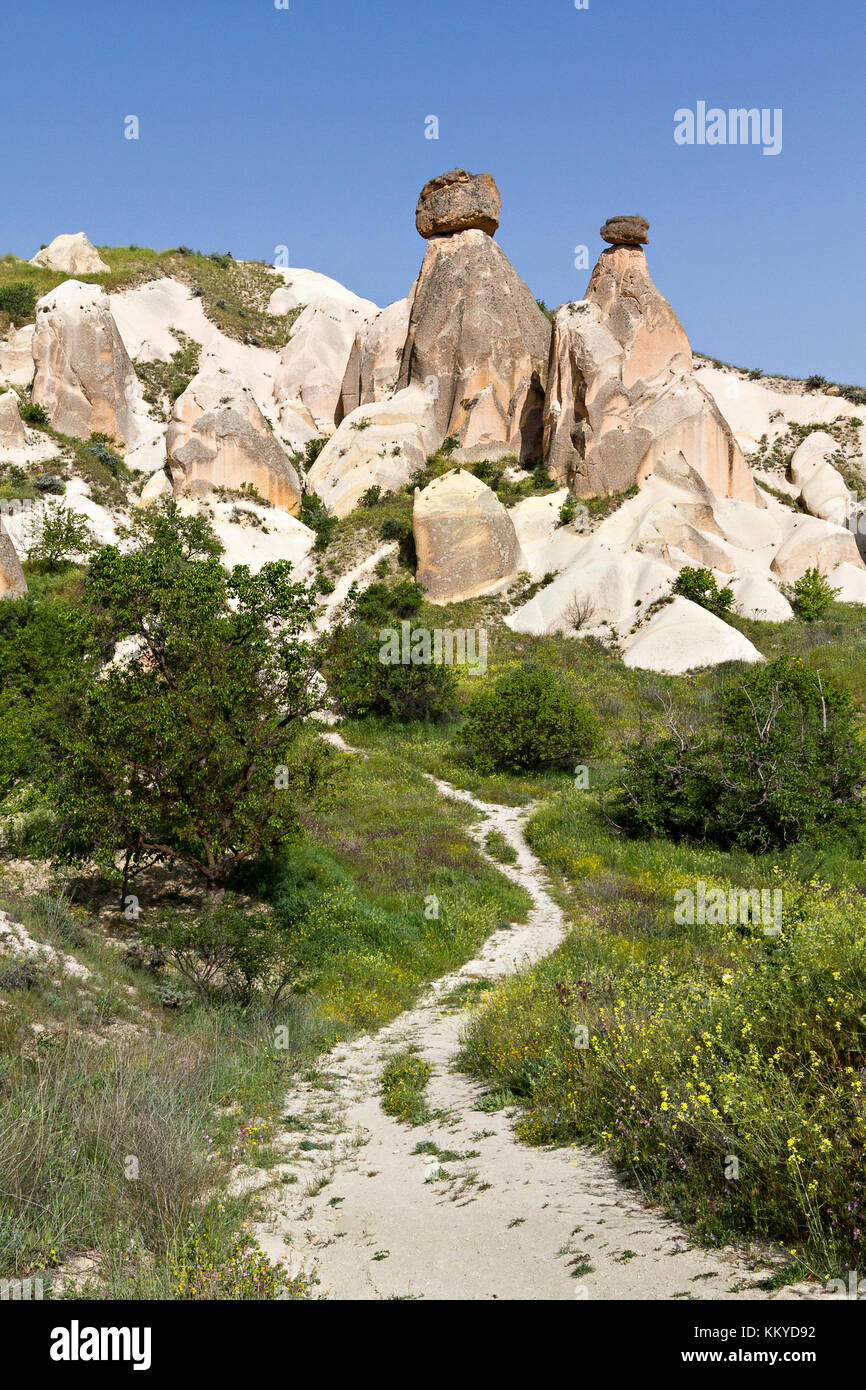 Feenkamine mit einem Wanderweg im Vordergrund, Kappadokien, Türkei. Stockfoto