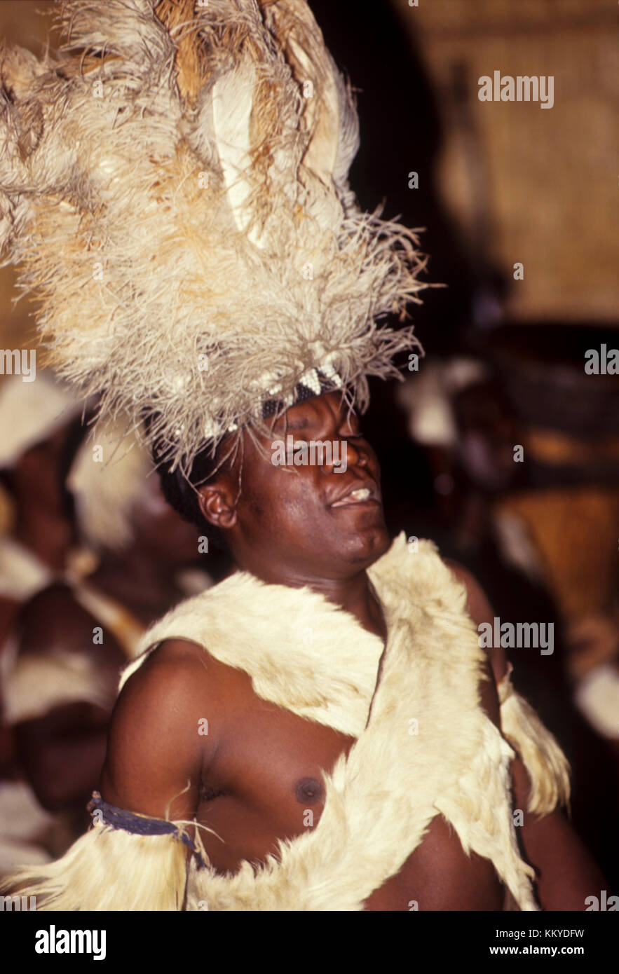 Traditionelles Zulu dance Stockfoto