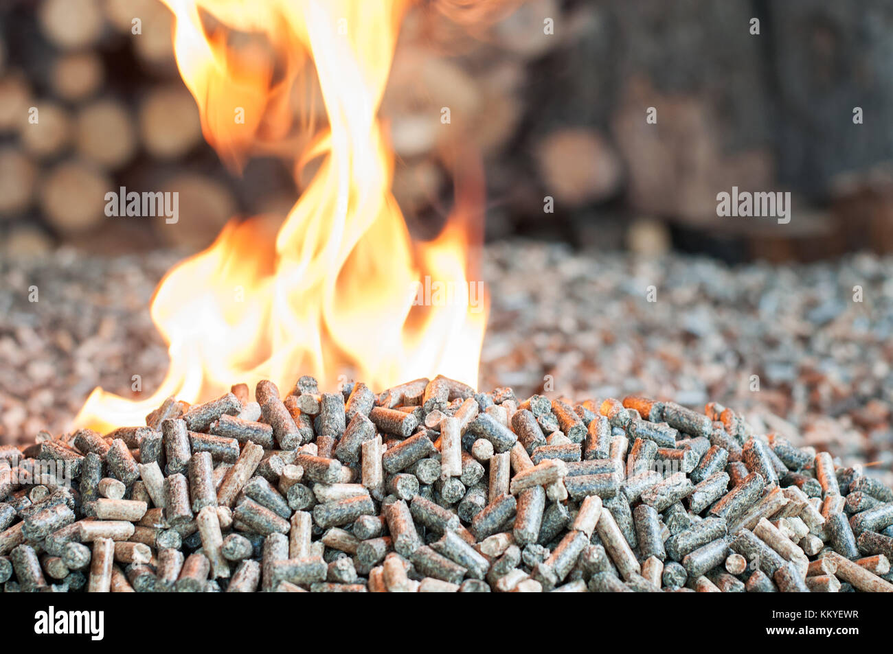 Erneuerbare Energien - Eiche und Sonnenblumen Holz- pellets in Flammen Stockfoto