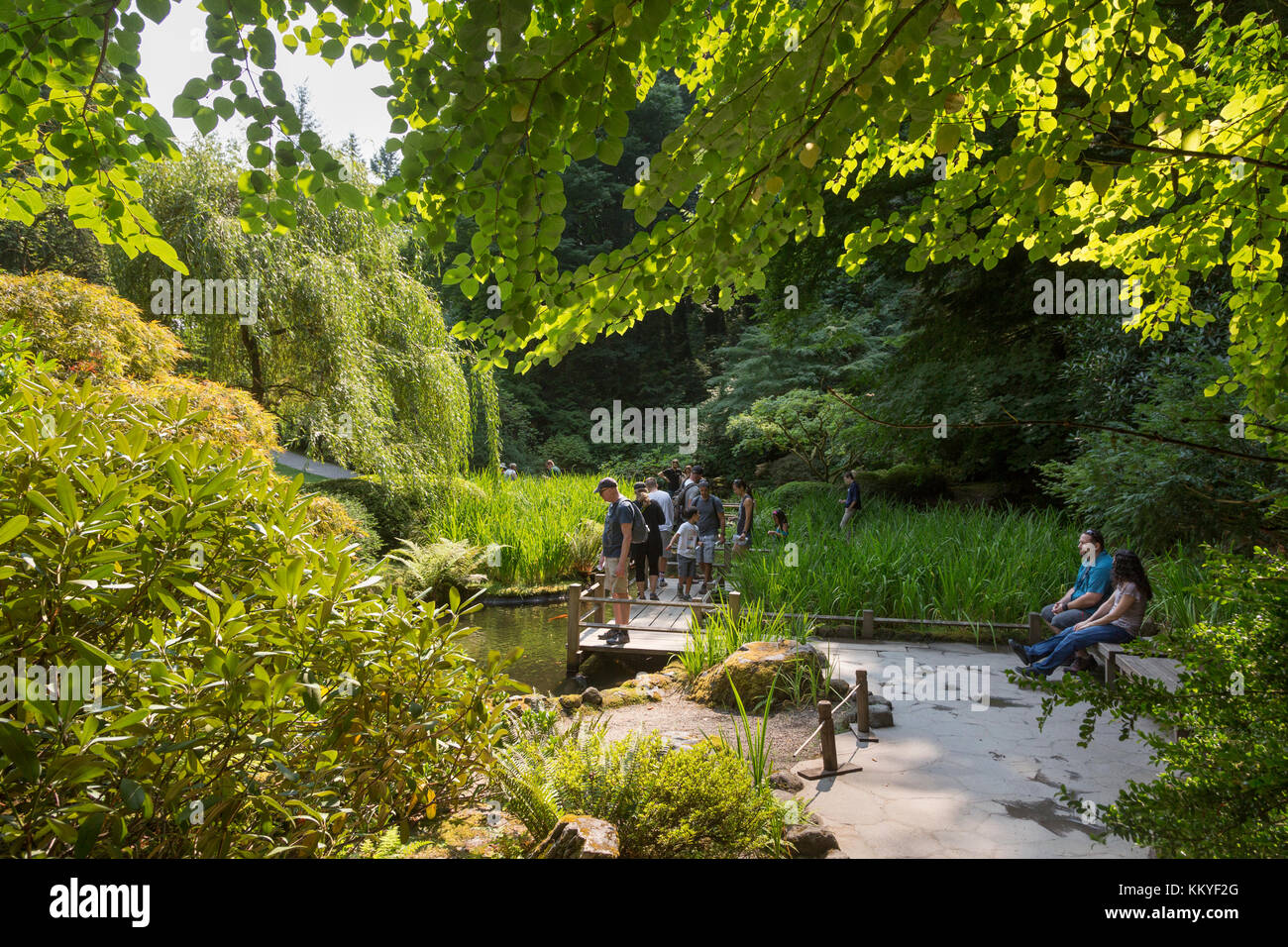 Portland japanischer Garten, Portland, Oregon, USA Stockfoto