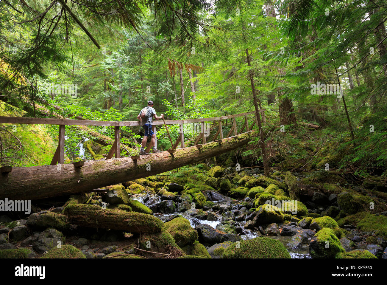 Strathcona proviental Park, Vancouver Island, British Columbia, Kanada Stockfoto