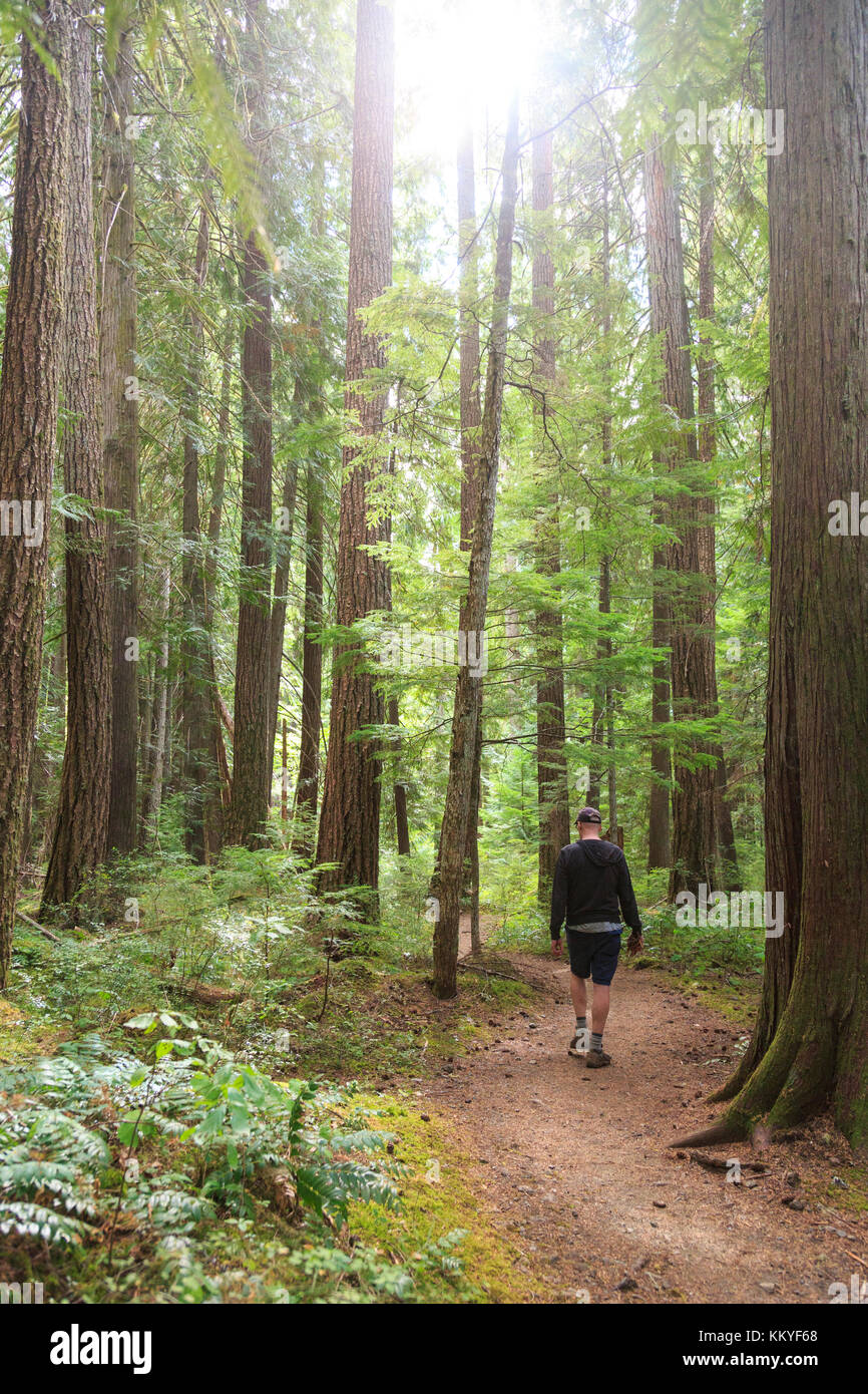 Strathcona proviental Park, Vancouver Island, British Columbia, Kanada Stockfoto