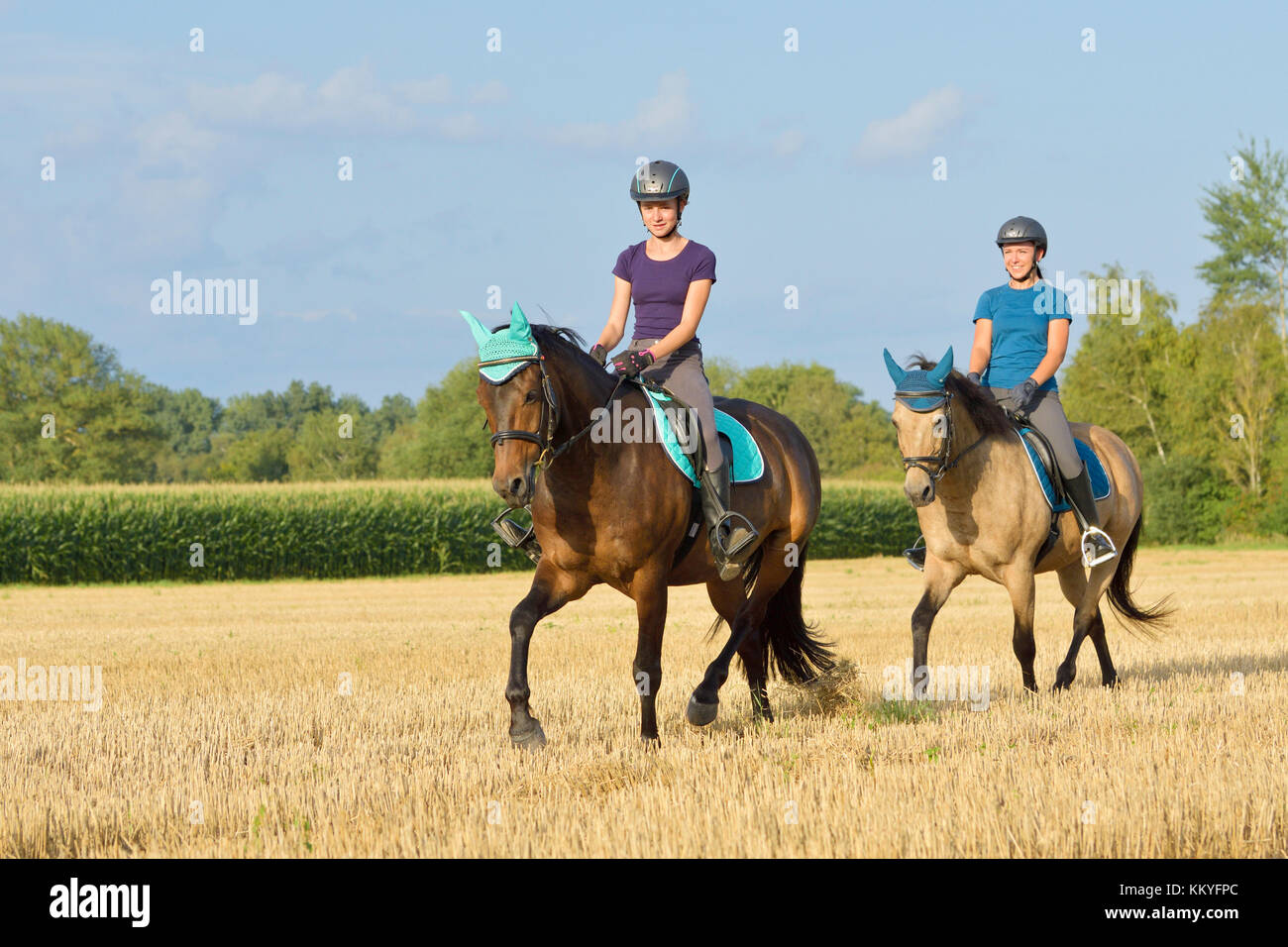 Zwei Mädchen auf der Rückseite des Deutschen Ponys reiten Trab in einen Drei-tage-Feld Stockfoto