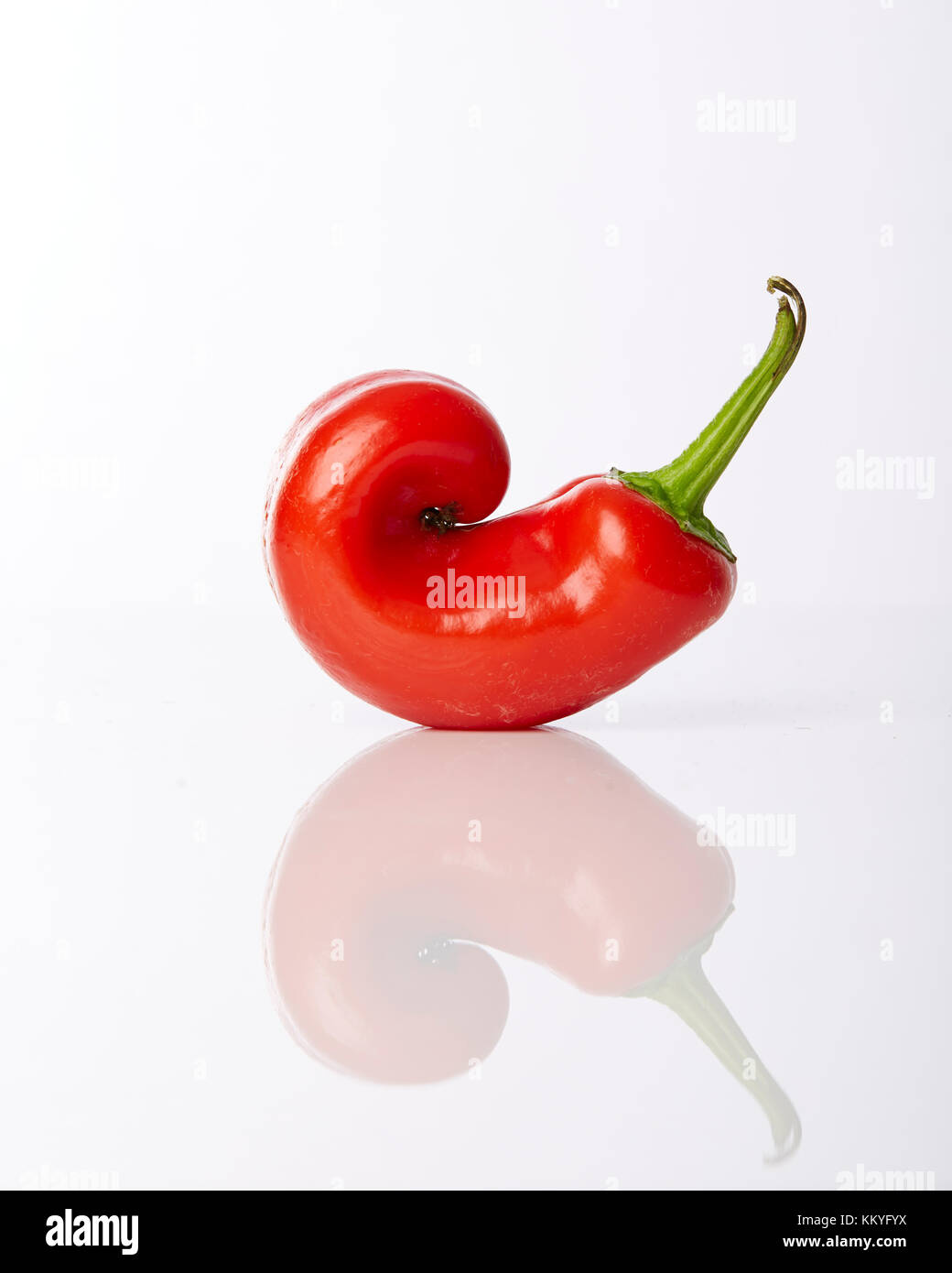 Bright Red Hot Chili Pfeffer auf eine reflektierende weiße Oberfläche gewellt Stockfoto