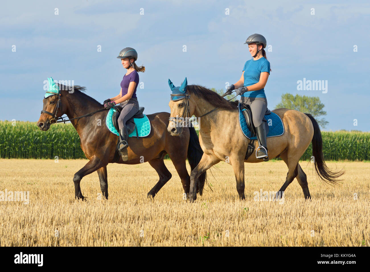 Zwei Mädchen auf der Rückseite des Deutschen Ponys reiten gehen in einen Drei-tage-Feld Stockfoto