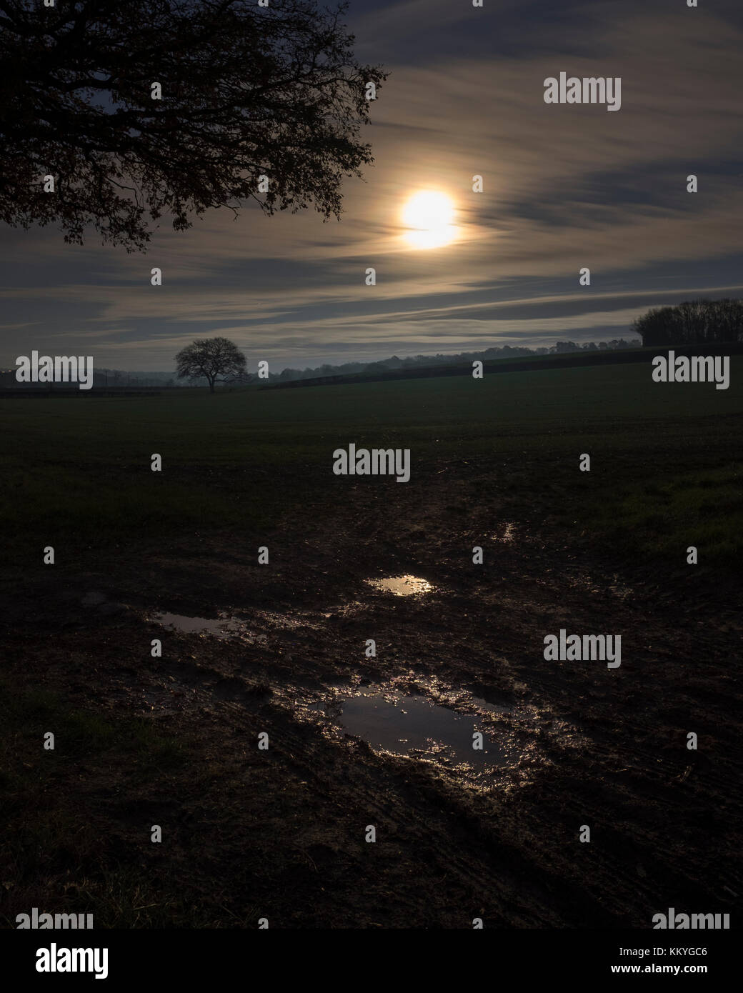 Mond beleuchtet Ackerland mit Pfützen im Vordergrund. Stockfoto