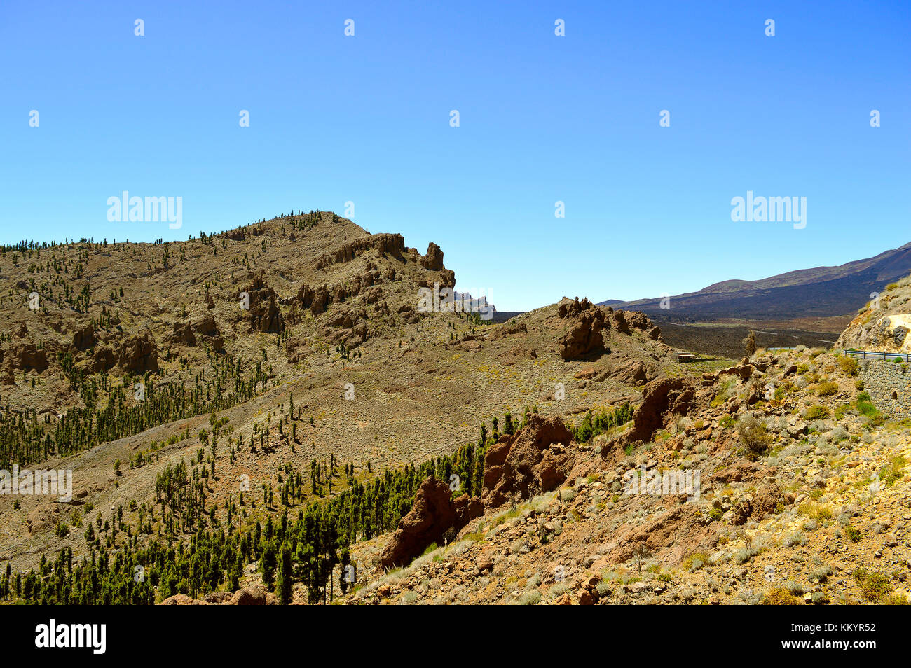 Nationalpark Mount Teide auf Teneriffa Stockfoto