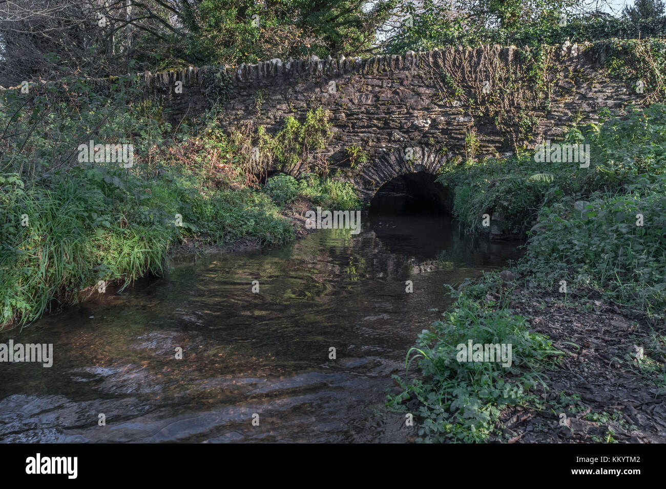 Kleine ländliche steinerne Brücke über einen kleinen, klar - läuft, Strom. Süßwasser Strom, Wasser Quellen, Quellen von Wasser Konzepte. Stockfoto