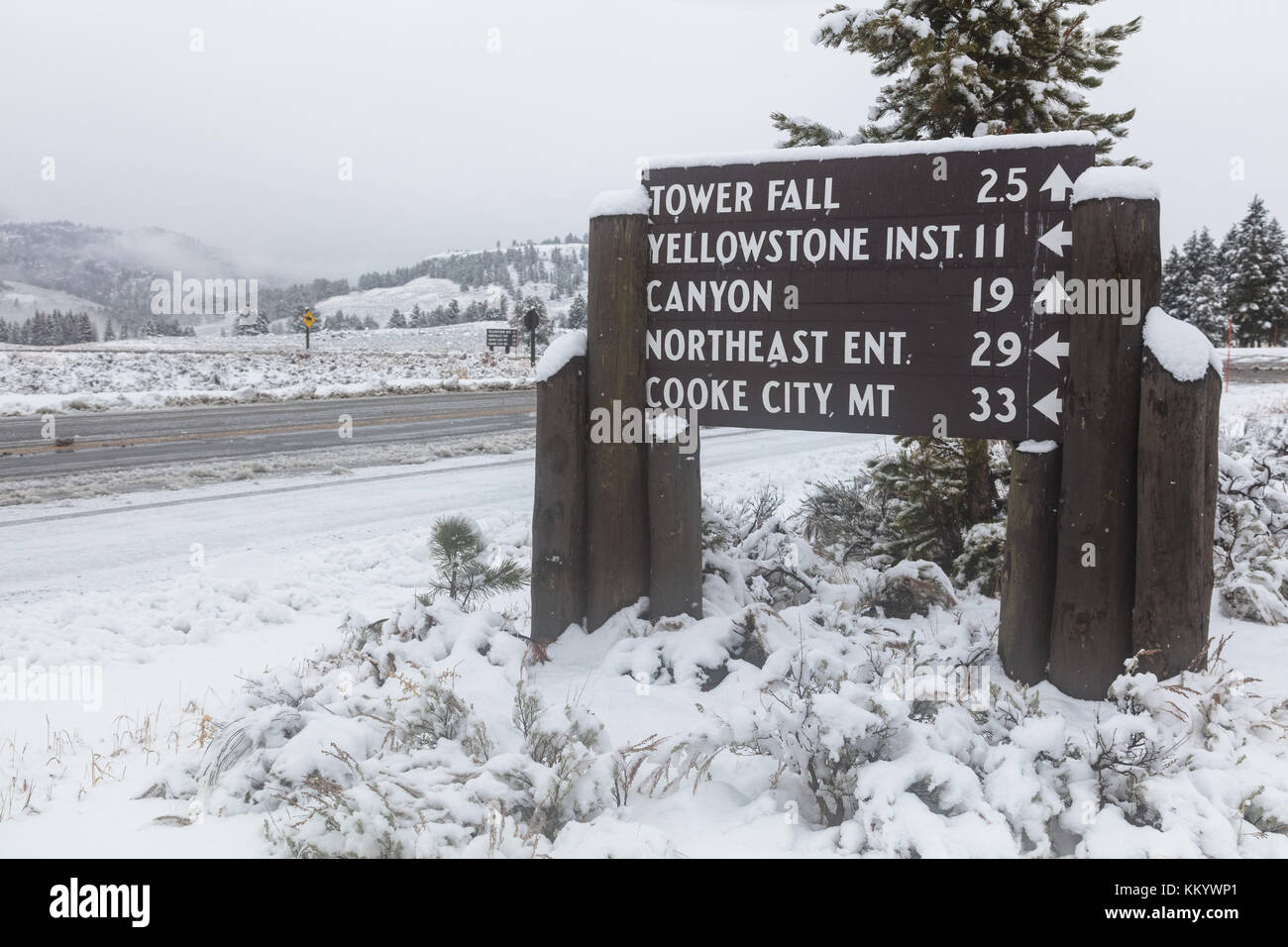 Turm Roosevelt Stockfotos Und Bilder Kaufen Alamy