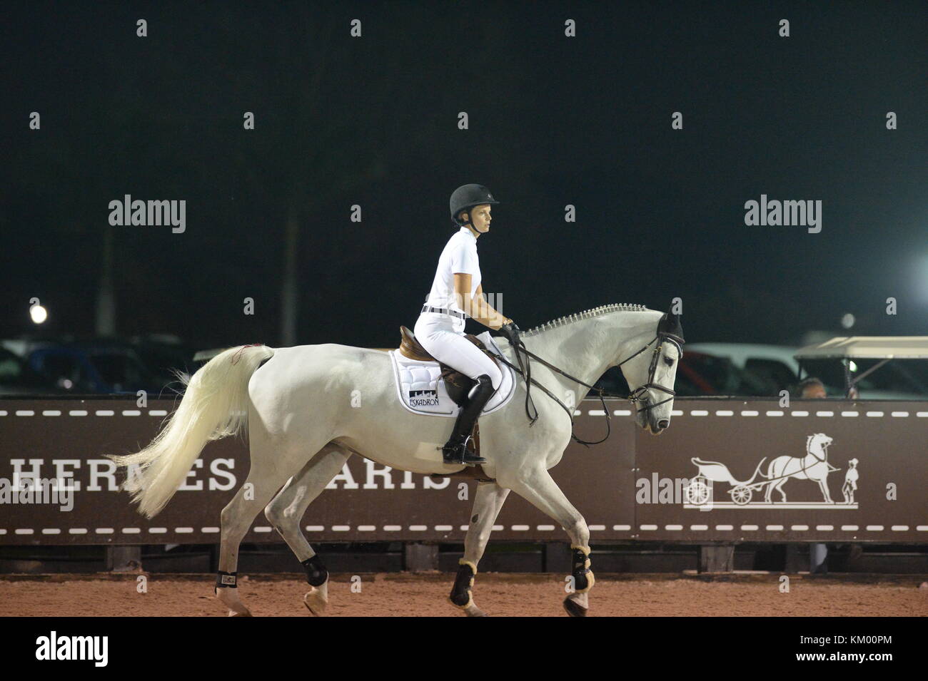 WELLINGTON, FL - FEBRUAR 08: Athina Onassis de Miranda nimmt am 8. Februar 20134 im Palm Beach International Equestrian Center am 370,000 Dollar FEI World Cup Qualifier Grand Prix Teil. Personen: Athina Onassis de Miranda Stockfoto