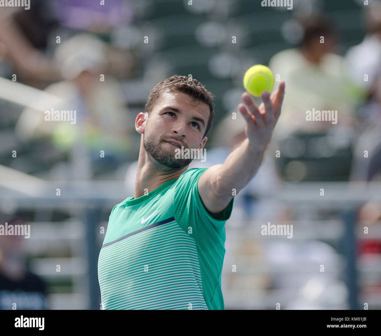 DELRAY BEACH, FL - FEBRUAR 18: Grigor Dimitrov bei den Delray Beach Open im Delray Beach Stadium & Tennis Center am 18. Februar 2016 in Delray Beach, Florida. Personen: Grigor Dimitrov Stockfoto