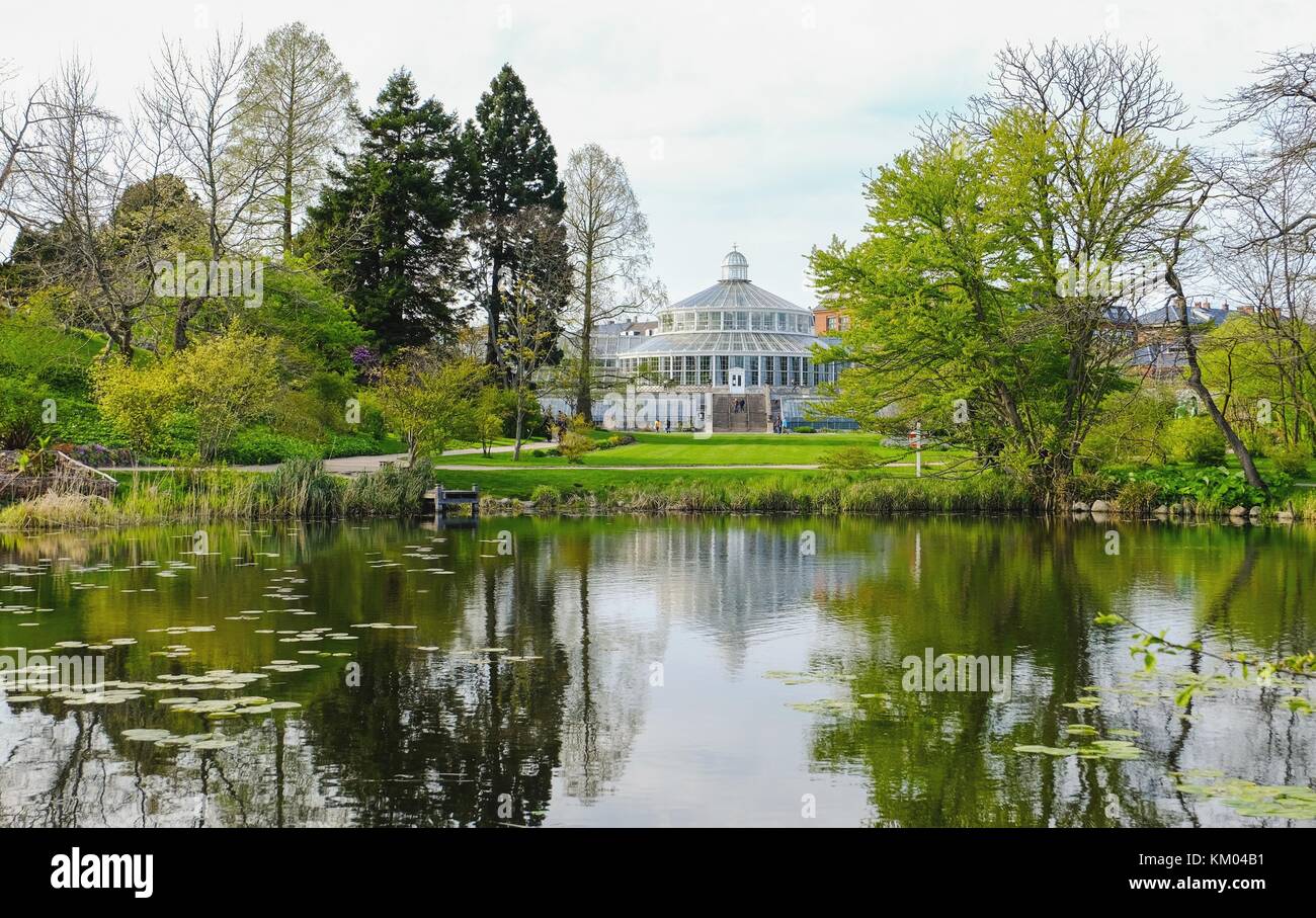 Universität Kopenhagen botanischen Garten während der sonnigen Tag, Teich und großen Gewächshaus sichtbar Stockfoto