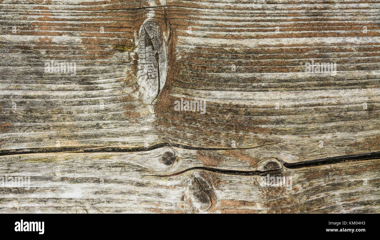 Dekorativer Hintergrund aus alten verwittertes Holz. Schöne vintage Textur mit Rissen und Knoten. Stockfoto