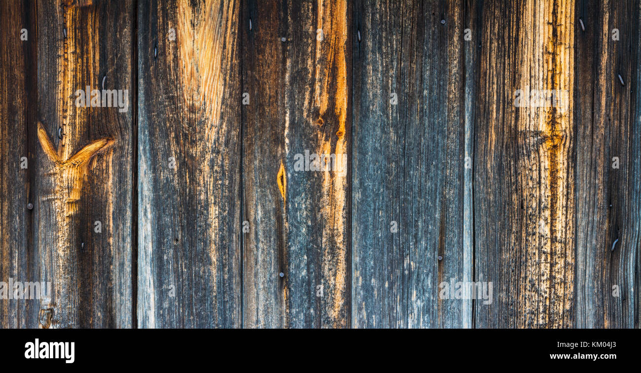 Markante Textur aus Holz alte verblasst Planken. Getragen im ländlichen Hintergrund mit vertikalen Streifen dunkel verwitterte Boards mit Knoten und Nägel. Stockfoto