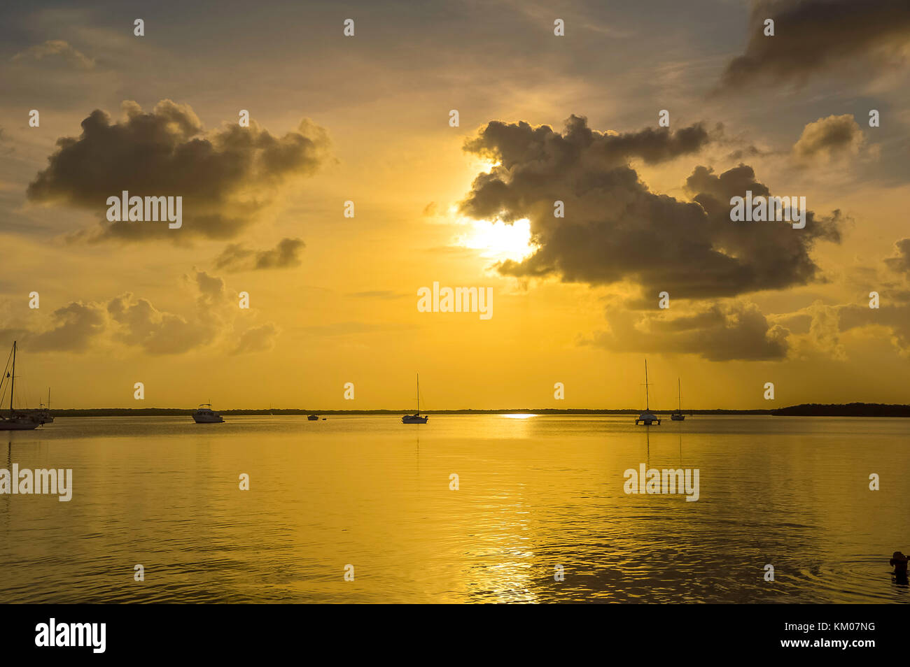 Sonnenuntergang auf Key West florida usa mit Boot Silhouette und goldenen und blauen Himmel Stockfoto