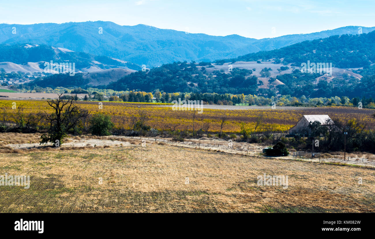 Scheune und brachliegende Feld in der Nähe des Los Padres National Forest in Kalifornien, USA Stockfoto