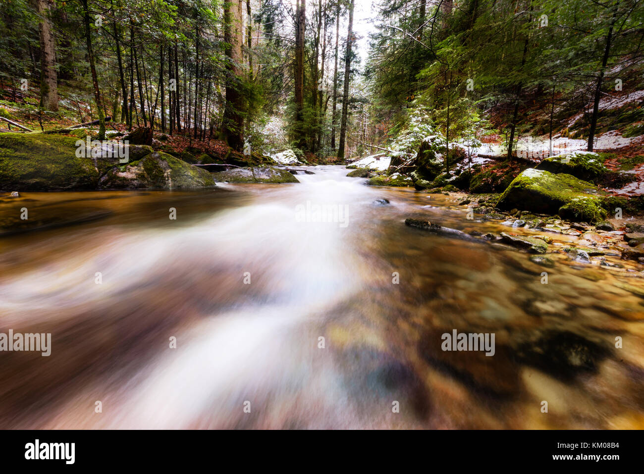 Berg Fluss, Bach, Bach mit Stromschnellen im späten Herbst und frühen Winter mit Schnee, Schlucht Vintgar, Slowenien Stockfoto