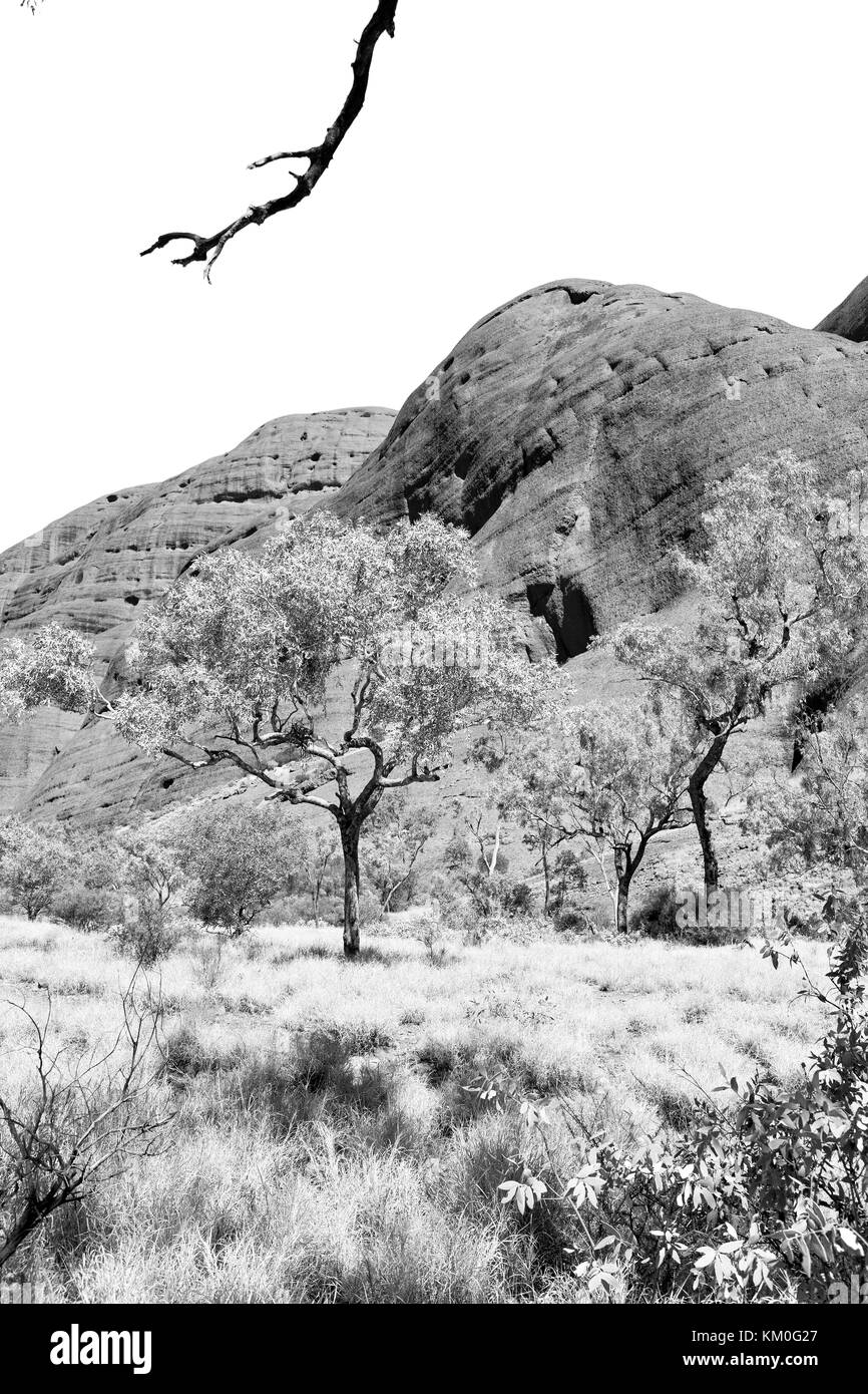 In Australien das Outback Canyon und in der Nähe von Mountain in der Natur Stockfoto
