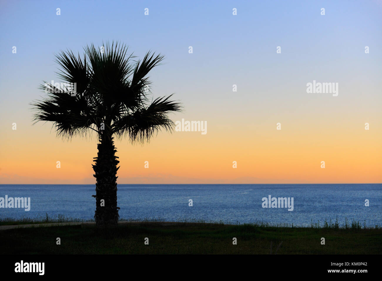 Palm Bäume Sonnenuntergang golden blauen Himmel Hintergrundbeleuchtung Stockfoto