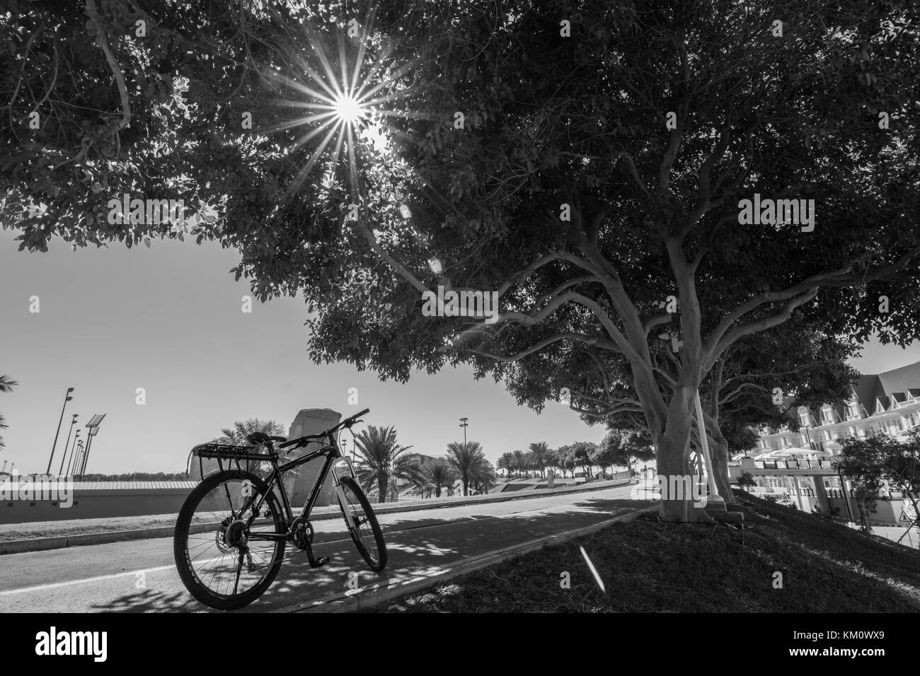 Fahrrad im Park im Sommer Stockfoto