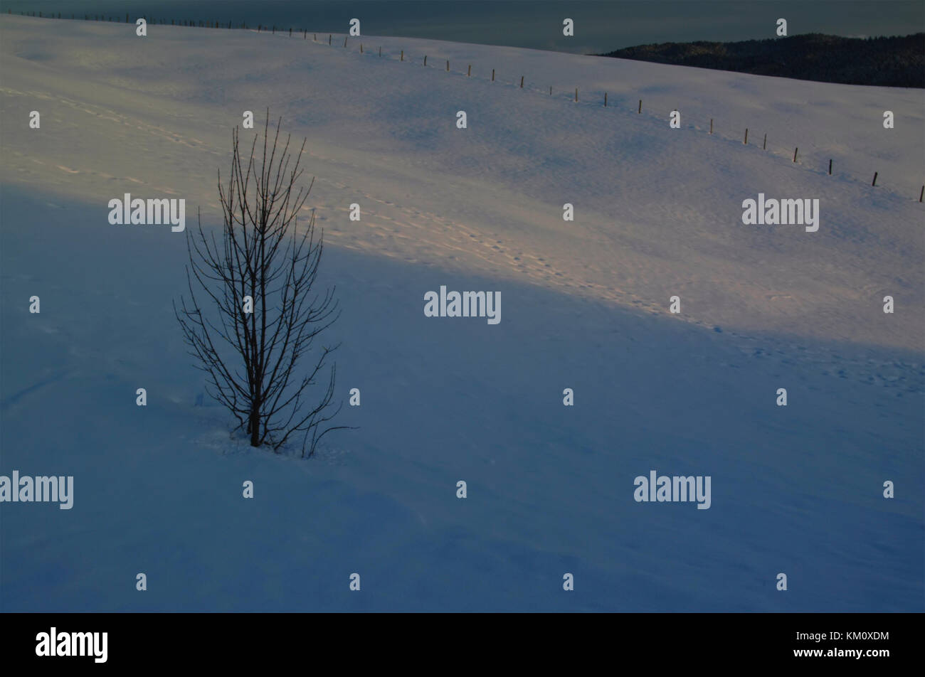 Schnee auf der Hochebene von Asiago, Vicenza, Venetien, Italien Stockfoto