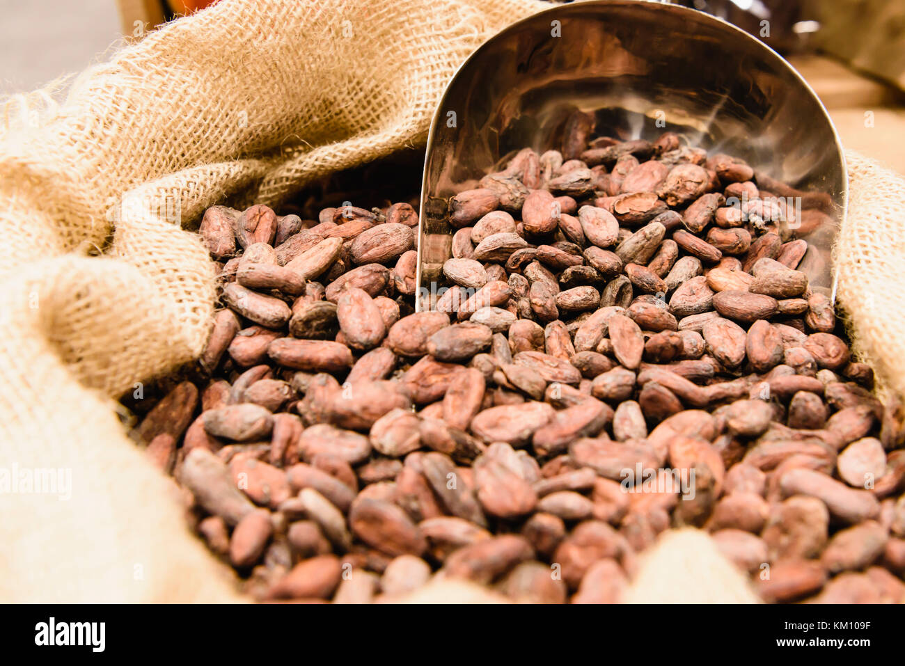 Eine hessische Sack mit rohen Kakaobohne vor der Röstung. Stockfoto