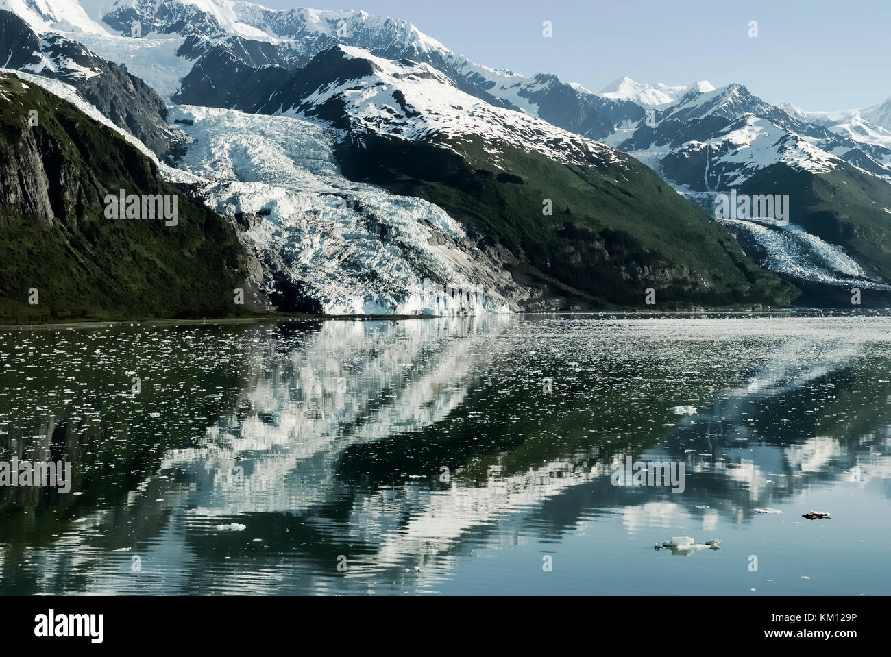 Die malerische Landschaft mit Gletschern in das Wasser am College Fjorde, Prince William Sound, Alaska fließt Stockfoto