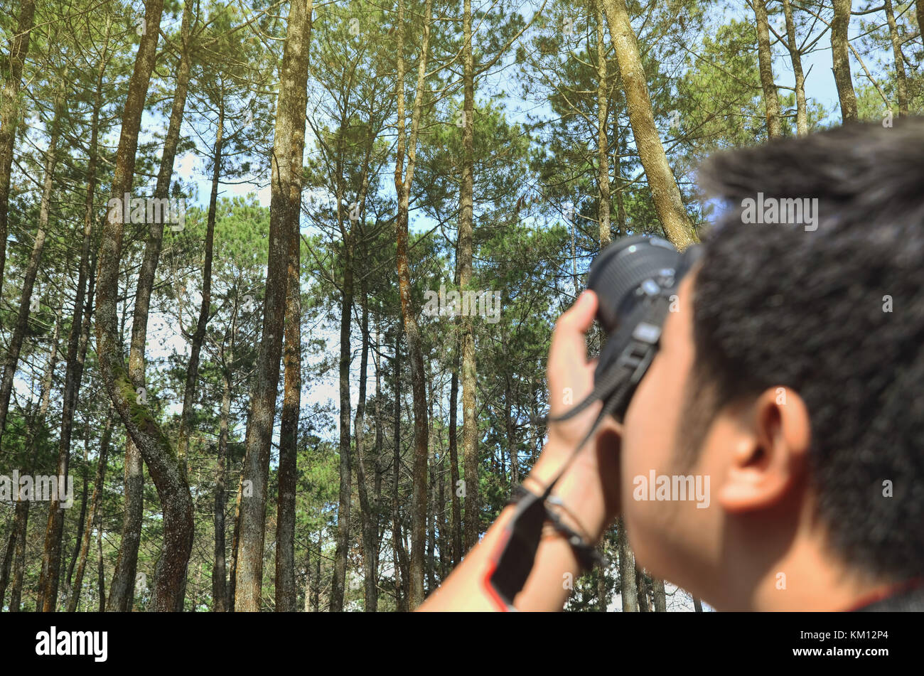 Fotograf Fotos im Wald Stockfoto