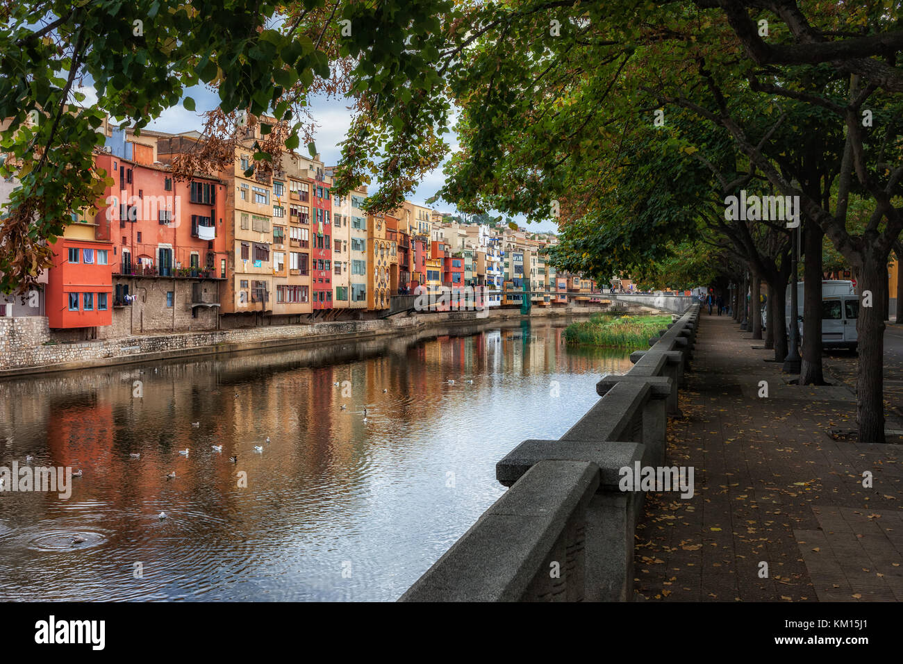 Allee, gesäumt von Bäumen entlang onyar Fluss im alten Viertel (Barri Vell) der Stadt Girona in Katalonien, Spanien Stockfoto