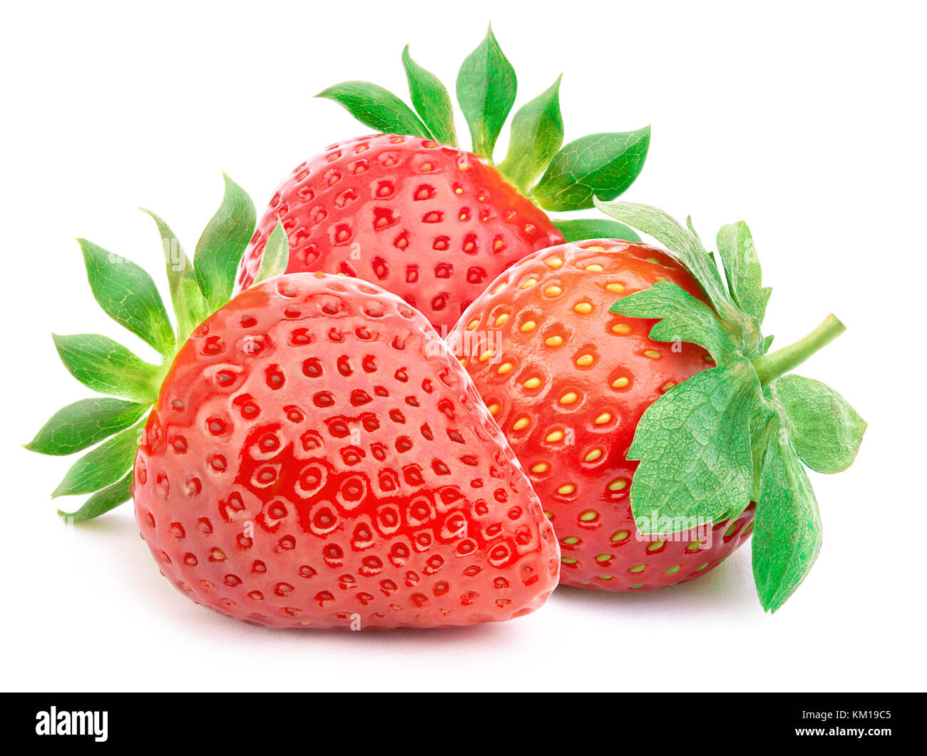 Drei Erdbeeren mit Blättern isoliert Stockfoto
