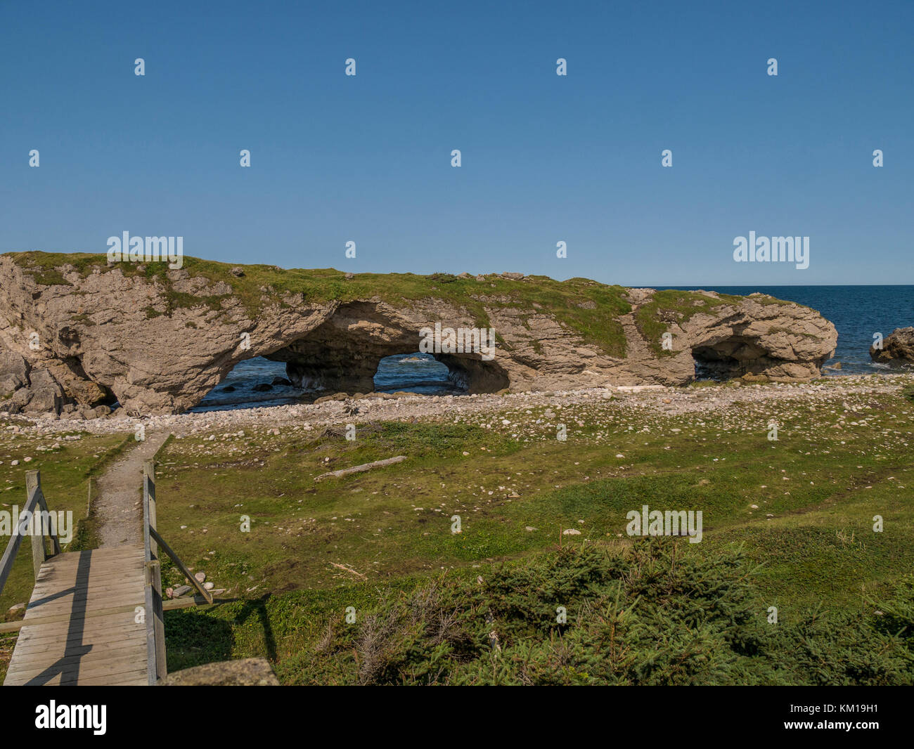 Bögen, die Bögen Provincial Park, Highway 430, Neufundland, Kanada. Stockfoto