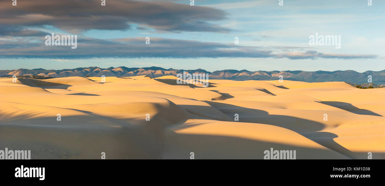 Panoramabild, Foto: Oceano Dunes State Vehicular Recreation Area, Oceano Dunes Natural Preserve, Kalifornien, Vereinigte Staaten von Amerika, USA. Stockfoto