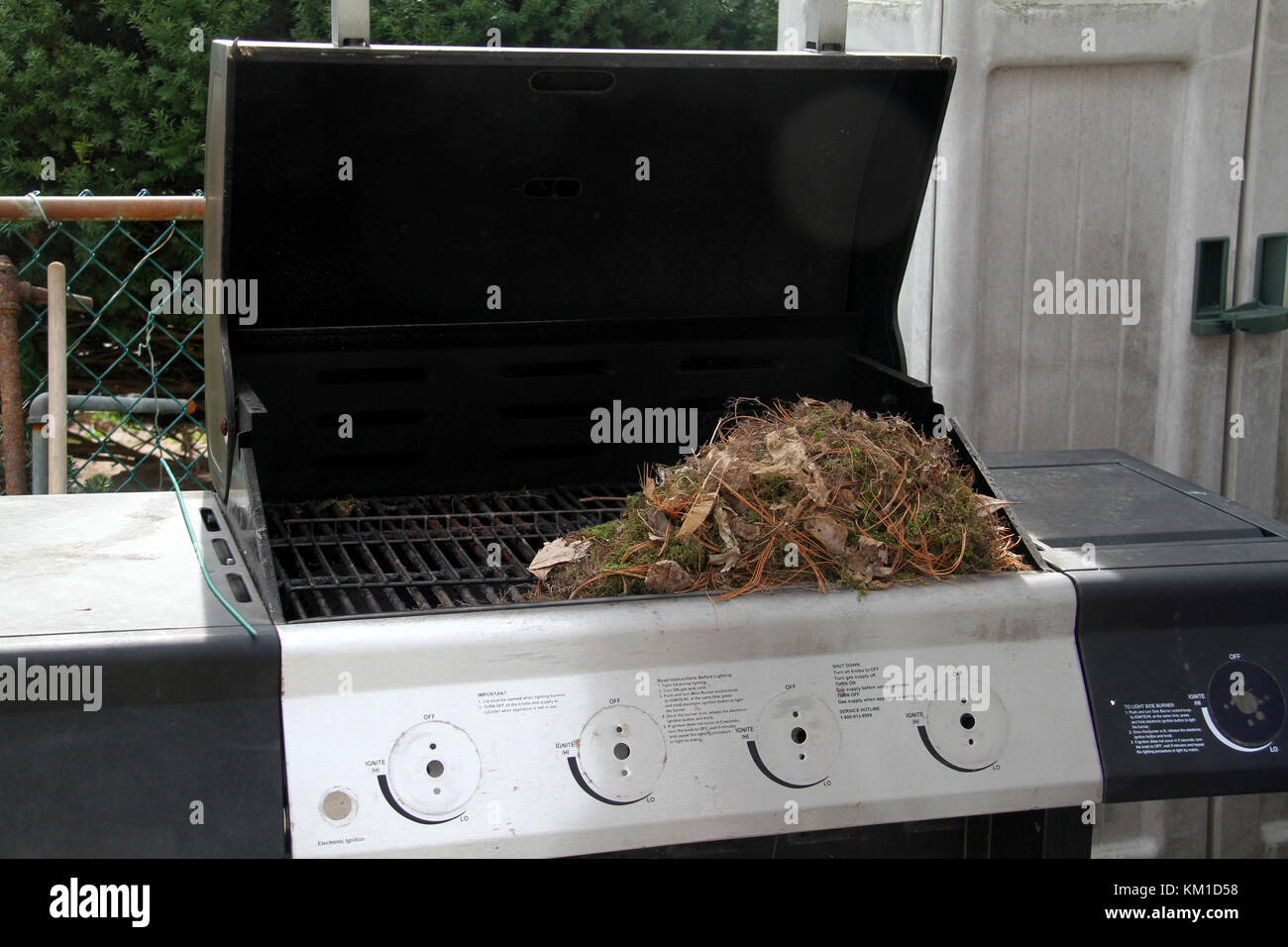 Bewick's Wren's Nest unter Grill top Stockfoto