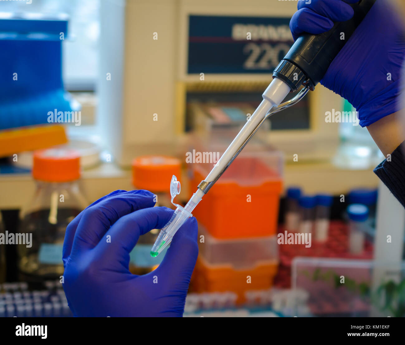 Die biomedizinische Forschung im Labor Stockfoto