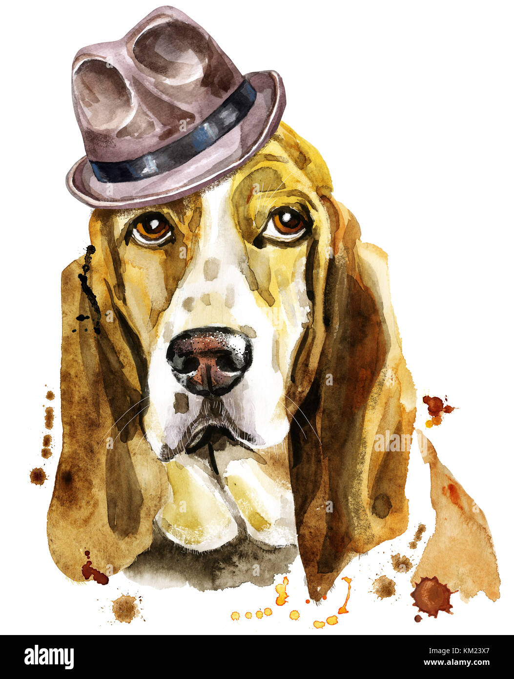 Dog Print T Shirt Stockfotos & Dog Print T Shirt Bilder Alamy Dog Print T Shirt Stockfotos & Dog Print T Shirt Bilder Alamy