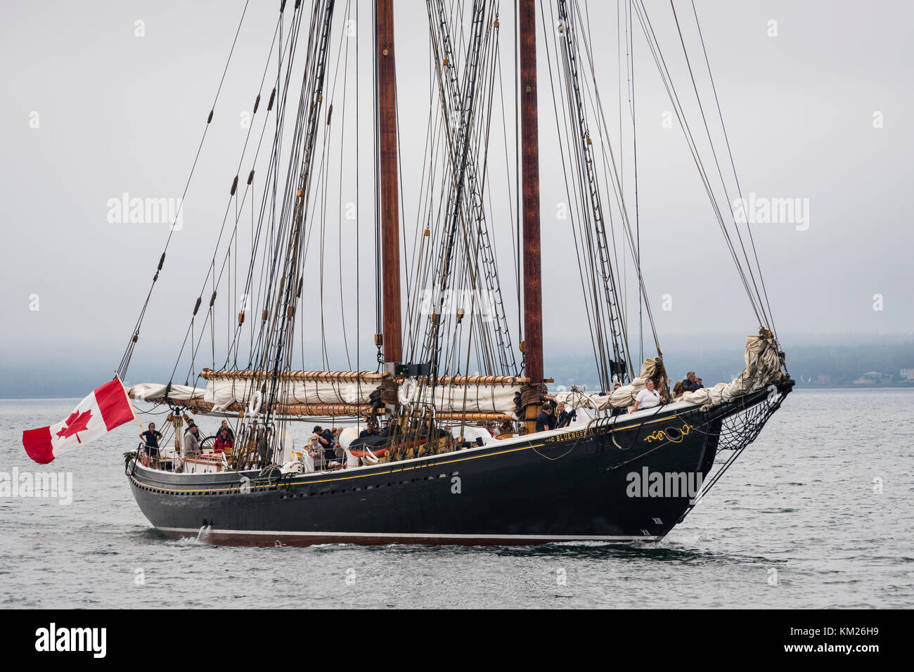 Schoner Bluenose II wird in den Hafen von Lunenburg, Nova Scotia, Kanada, im Nebel. Stockfoto