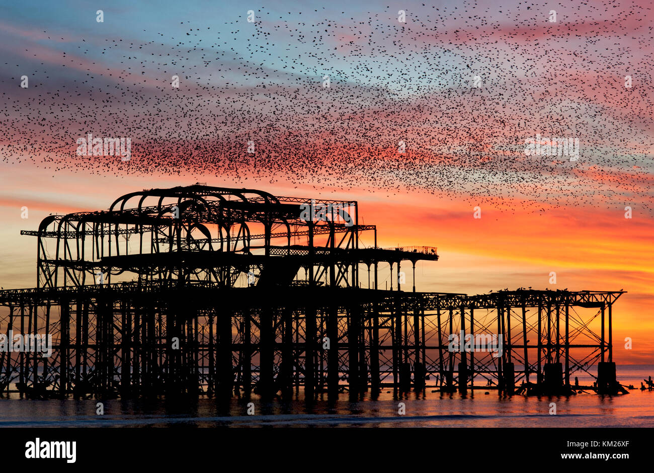 Künstlerisches Bild mit Filter Effekte von Staren in einer riesigen Masse in den Sonnenuntergang Himmel über der Küste von Brighton und Hove in England zu fliegen. Stockfoto