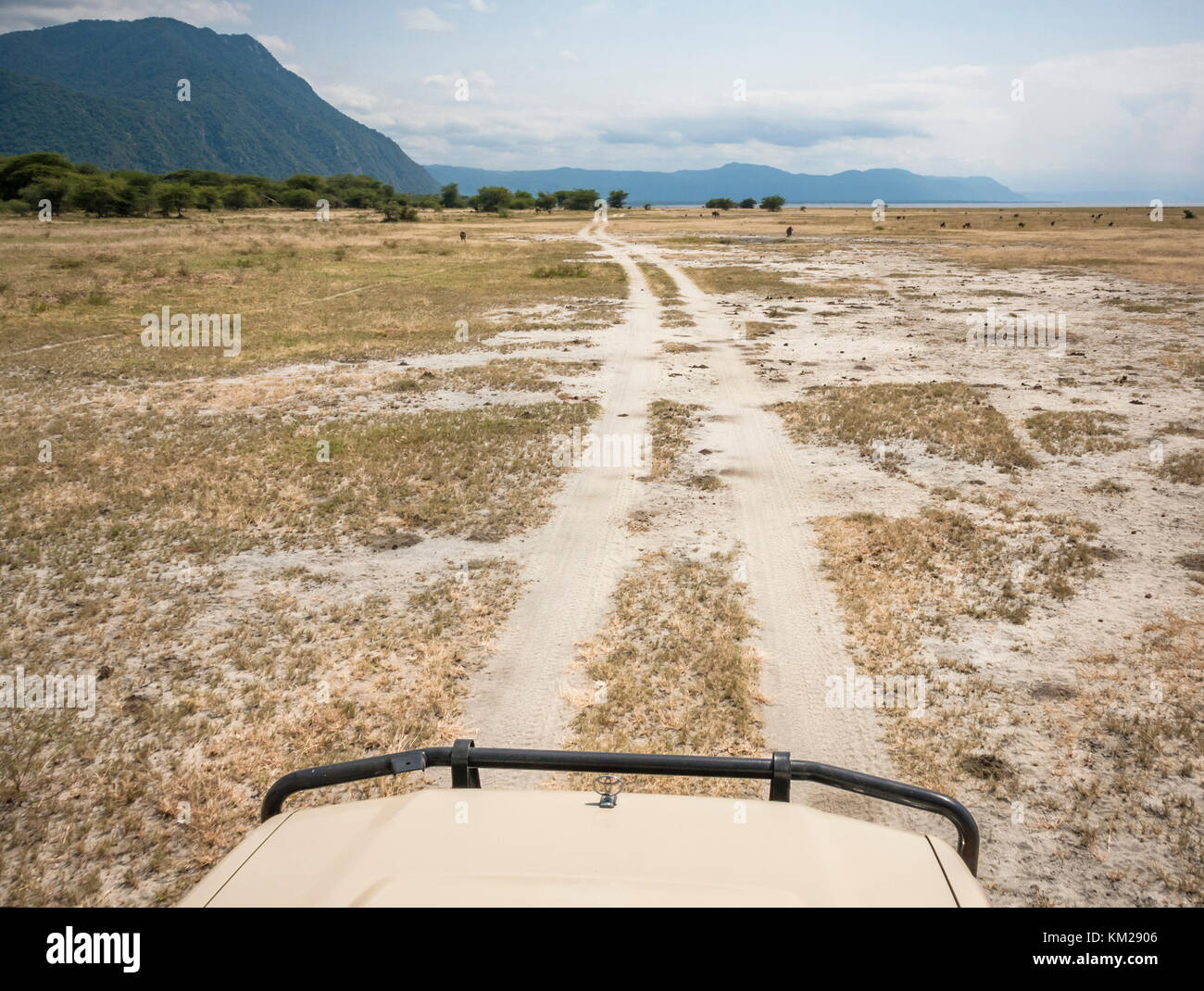 Jeep Safari in der Serengeti, Tansania, Afrika Stockfoto