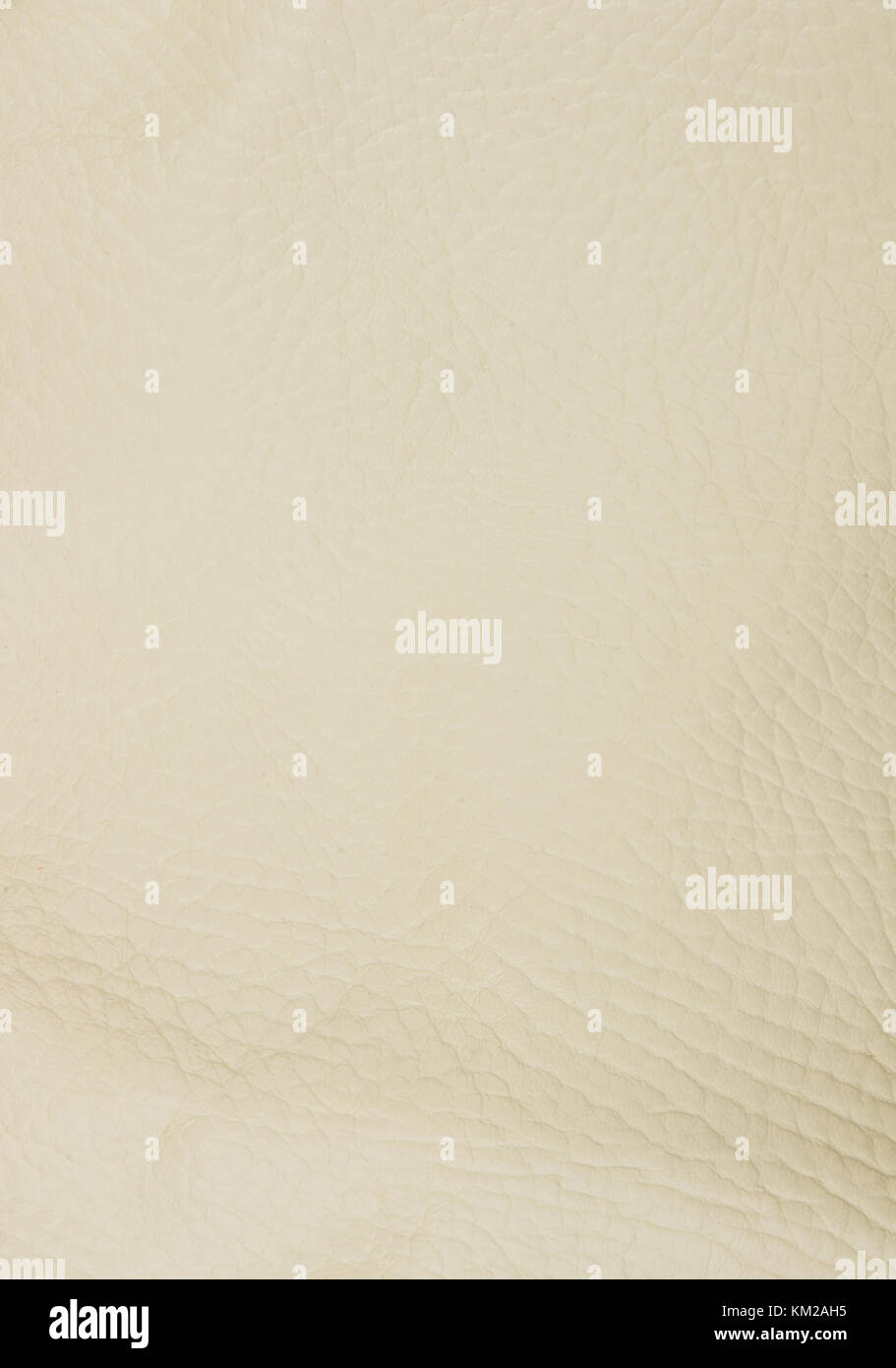 Weißes Leder Textur Hintergrund, Nahaufnahme, Makro Stockfoto