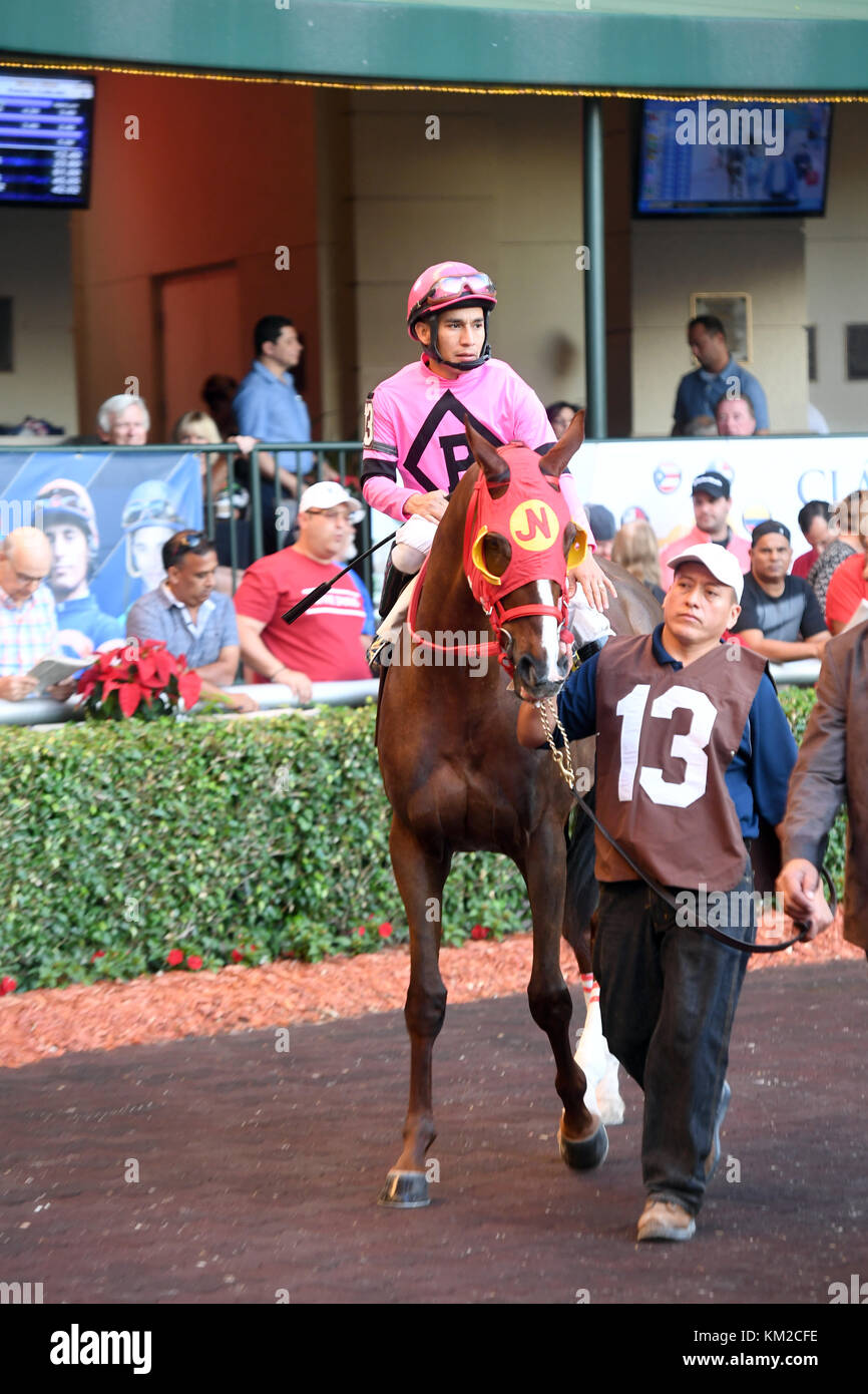 Hallandale, FL - 02. DEZEMBER: Blumen für Lisa mit Jockey Paco Lopez gewinnt die 200.000,00 Dollar Startereinsätze liefen bei Einer Und Acht Meilen am Eröffnungstag im Gulfstream Park am 2. Dezember 2017 in Hallandale, Florida People: Flowers for Lisa, Paco Lopez Transmission Ref: FLXX Hoo-Me.com/MediaPunch Stockfoto