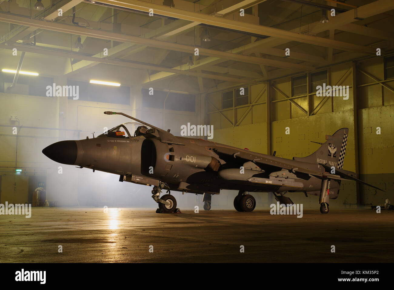 Sea Harrier, FRS 2 ZH796, bei RAF Cosford, England, Stockfoto