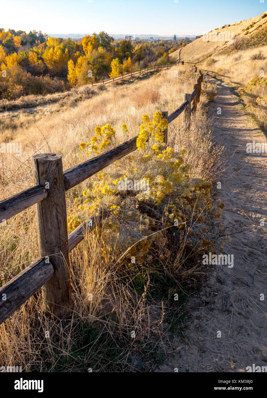 Zaun Linien ein Fuß weg in den Ausläufern über boise Idaho mit farbigen Herbst Bäume Stockfoto