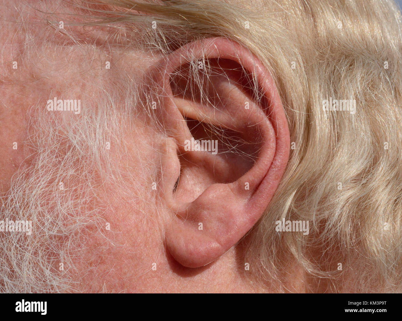 Nahaufnahme der Ohr der älteren Mann mit blonden und graue Haare Stockfoto